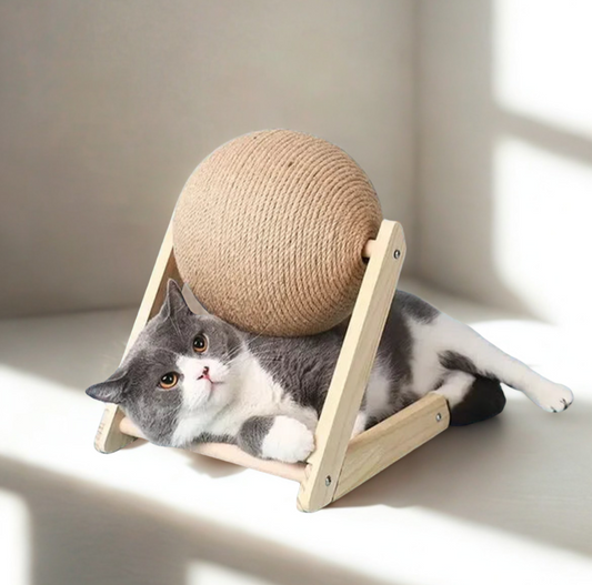 🐾 CatGlobe – Der stylische Kratzball für glückliche Katzen